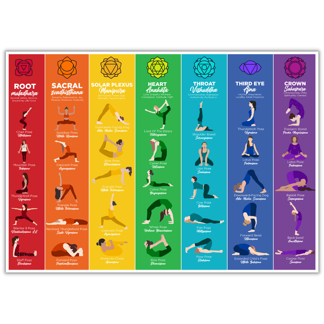 🧘 Align Your Body