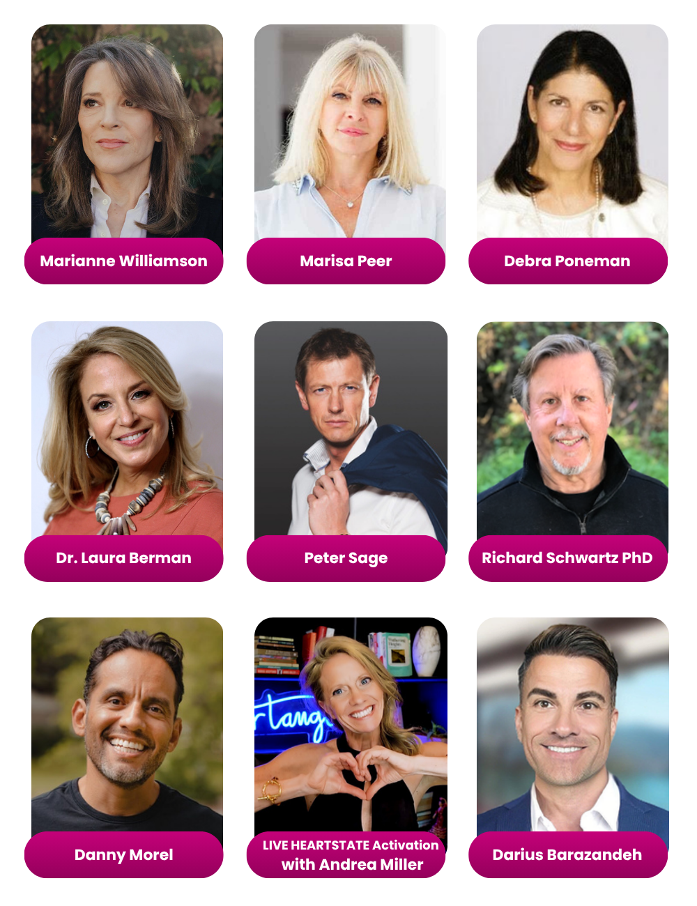 The 12 Wealth and Abundance Live teachers
