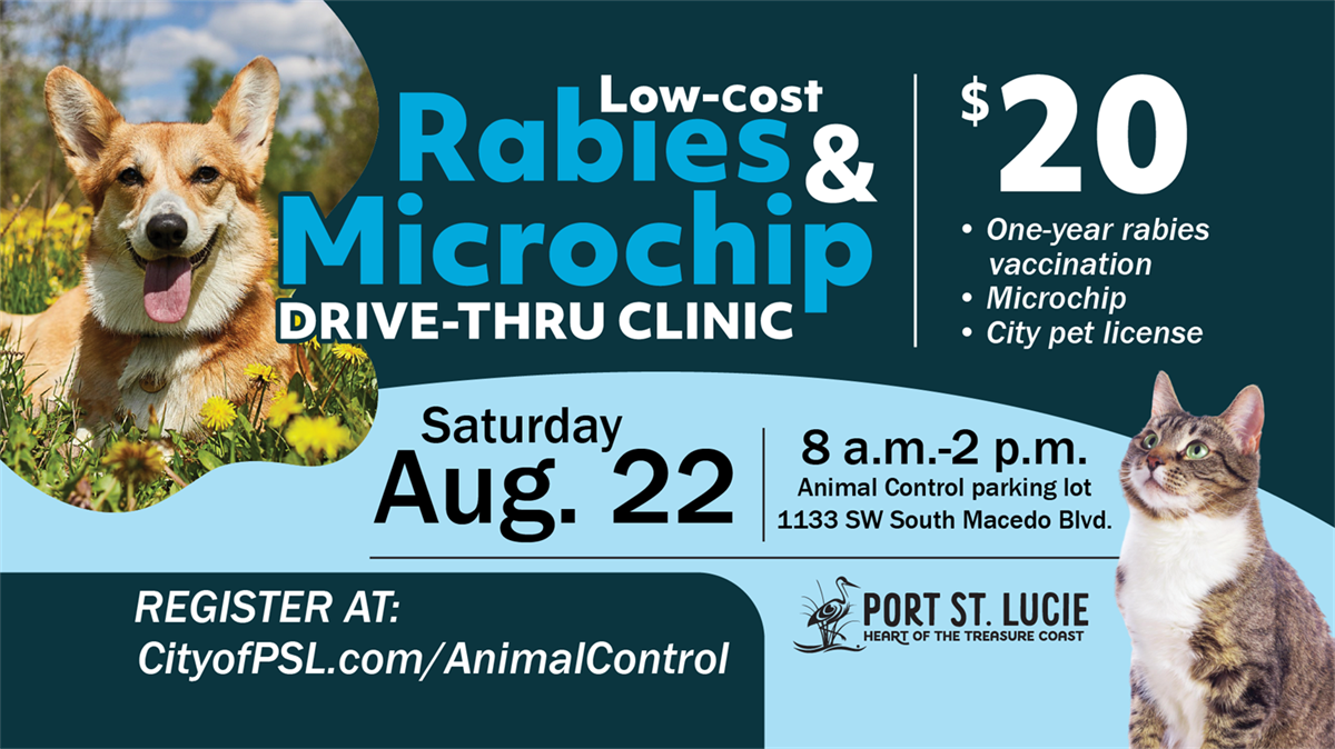 Low‑Cost Rabies & Microchip Drive‑Thru Clinic