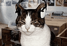 A cat wearing headphones