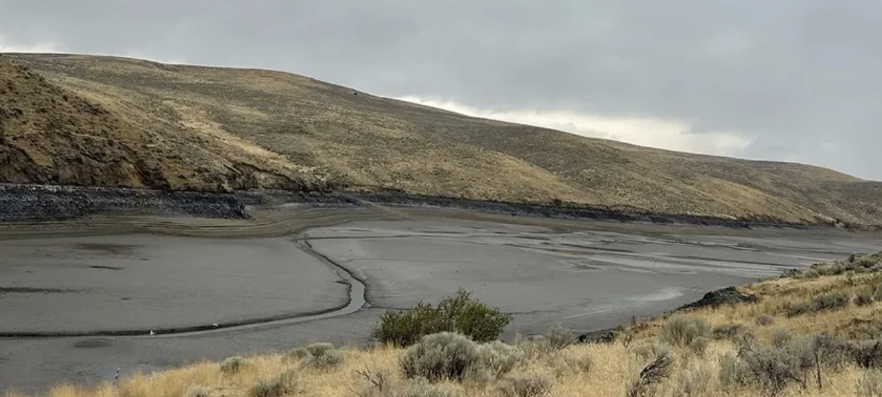 A grinning angler hauling in a huge catch under a ‘no limits’ sign at a drying-up reservoir, and it’s all true