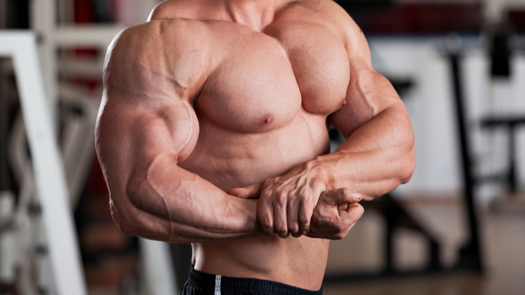 💪 Try Arnold's Brutal Workout Split for World-Class Gains