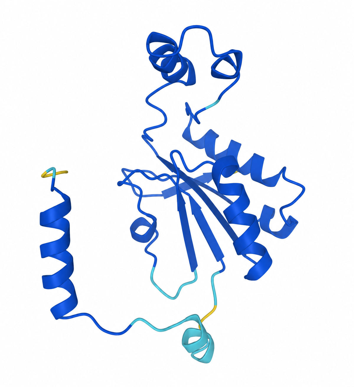 A predicted protein shape, coloured mostly blue, made of coils and flat strands.