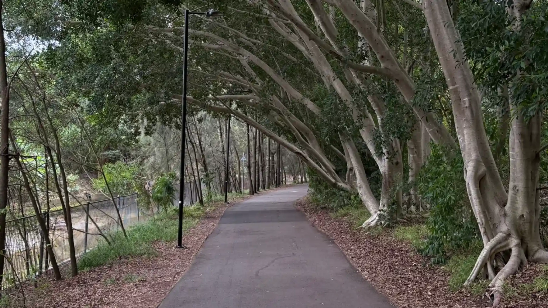 The sealed path runs almost entirely off-road