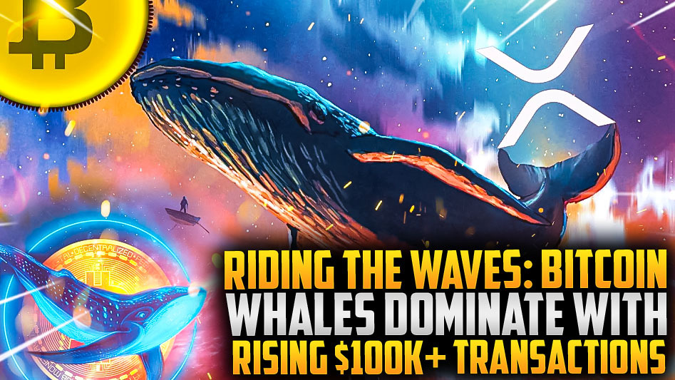 Riding the Waves: Bitcoin Whales Dominate with Rising $100K+ Transactions