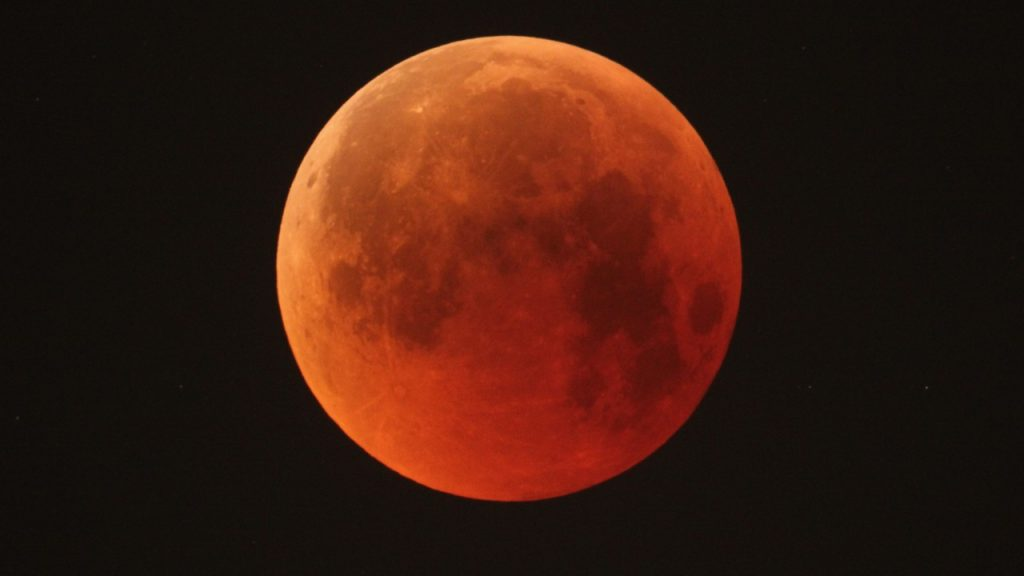 ⚓ Stunning Blood Moon Pictures + Pet of the Week!