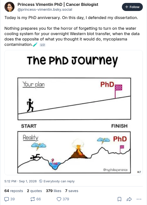 Bluesky post by Princess Vimentin with The PhD Journey chart comparing plan and reality