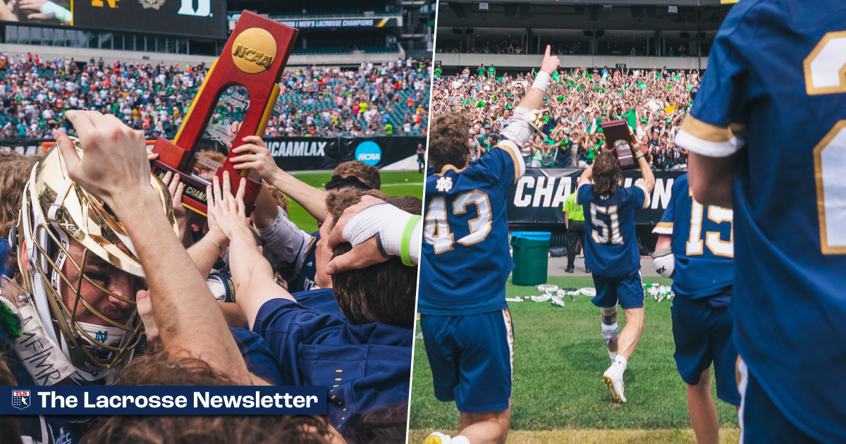 It Has” or “It Have”: Navigating Correct Usage in English Grammar visual data 2