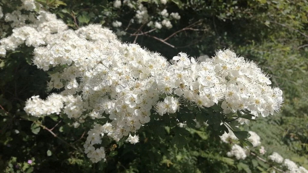 We are going to die, and that makes us the lucky ones