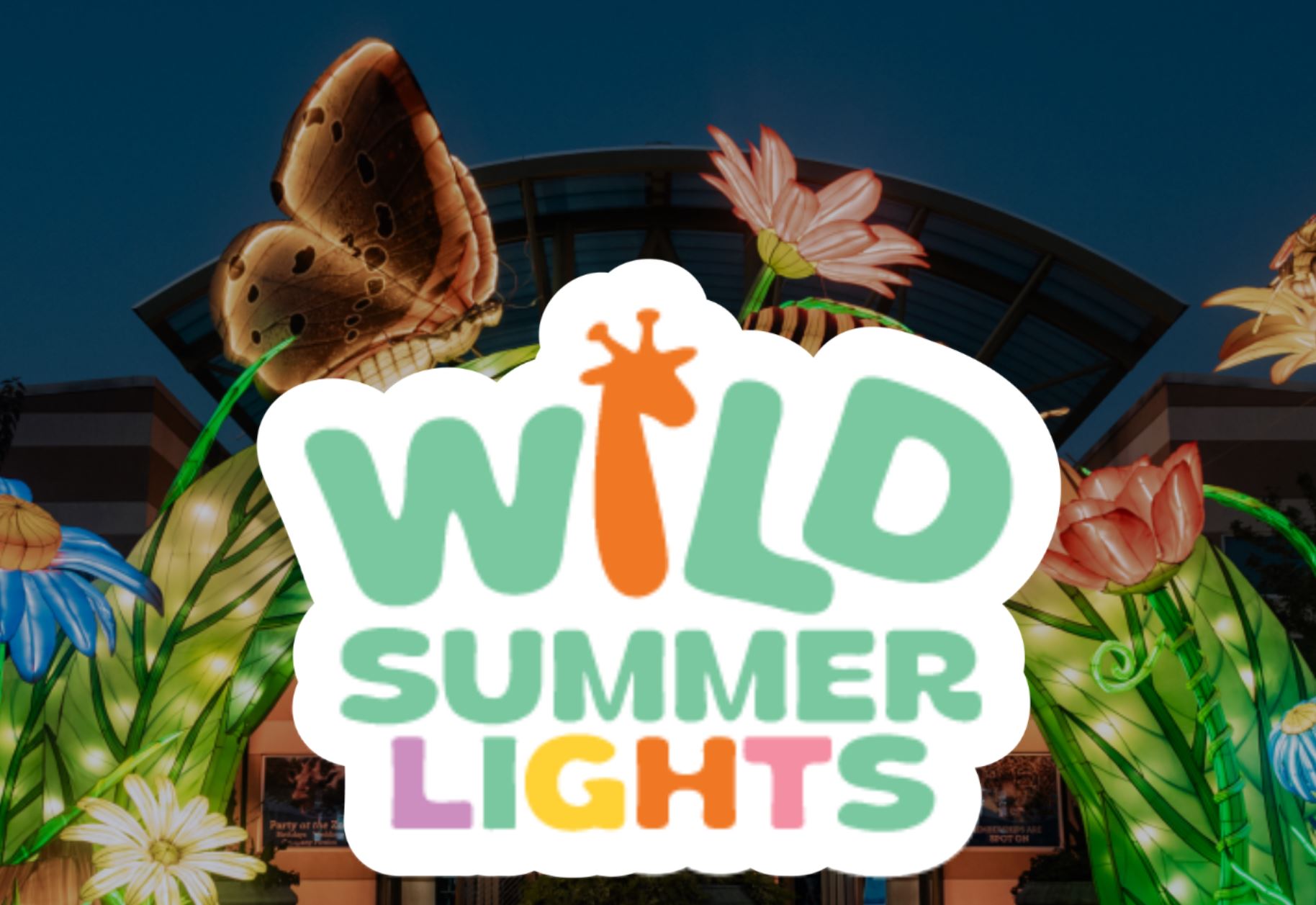 Wild Summer Lights 2026