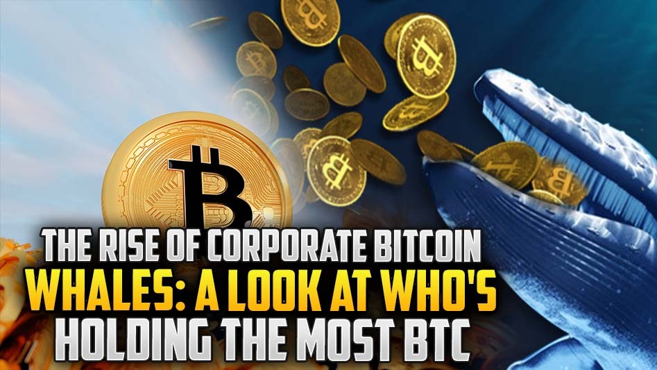The Rise of Corporate Bitcoin Whales: A Look at Who's Holding the Most BTC
