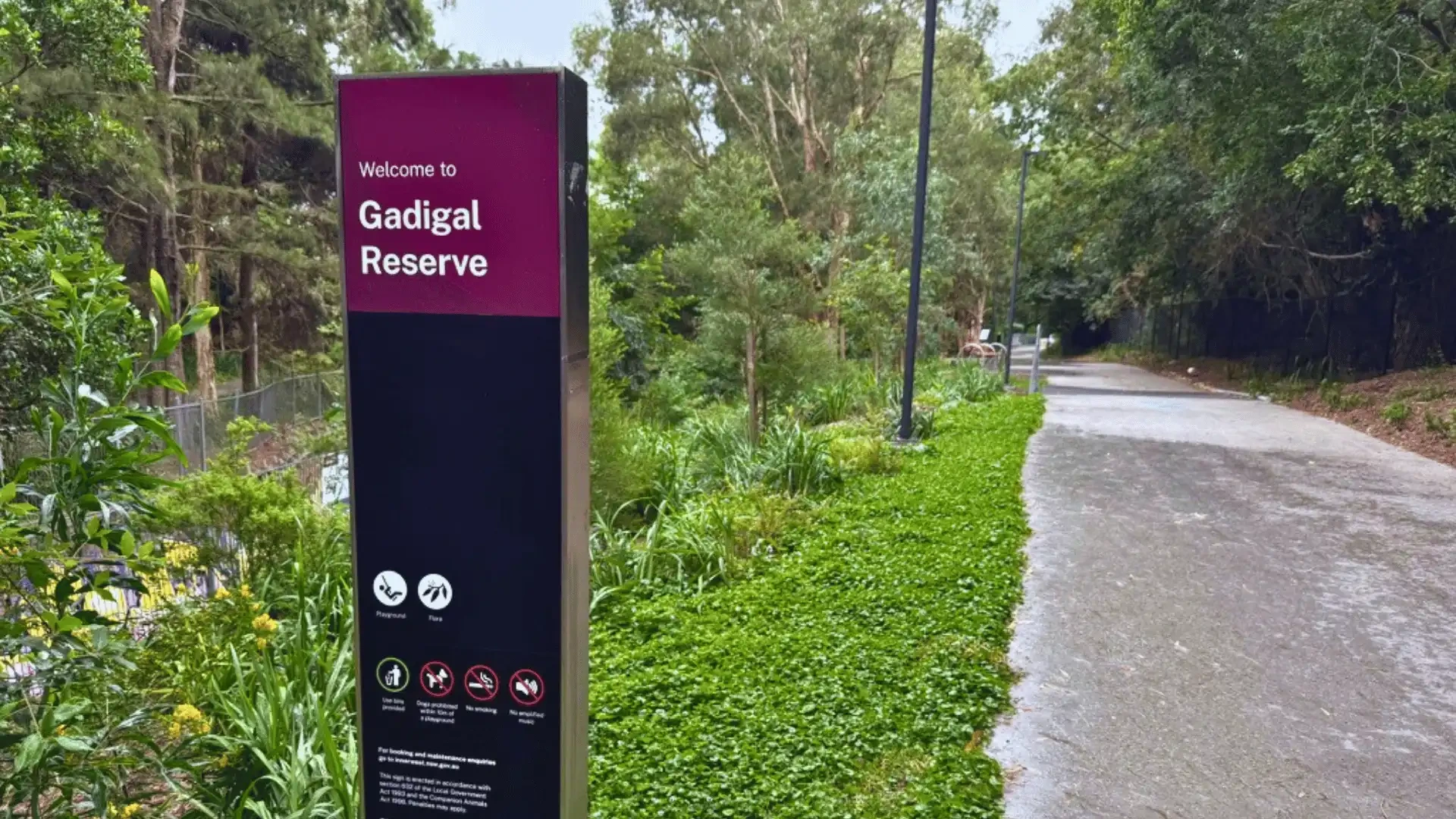 Gadigal Reserve: bushier feel with heritage figs and public art