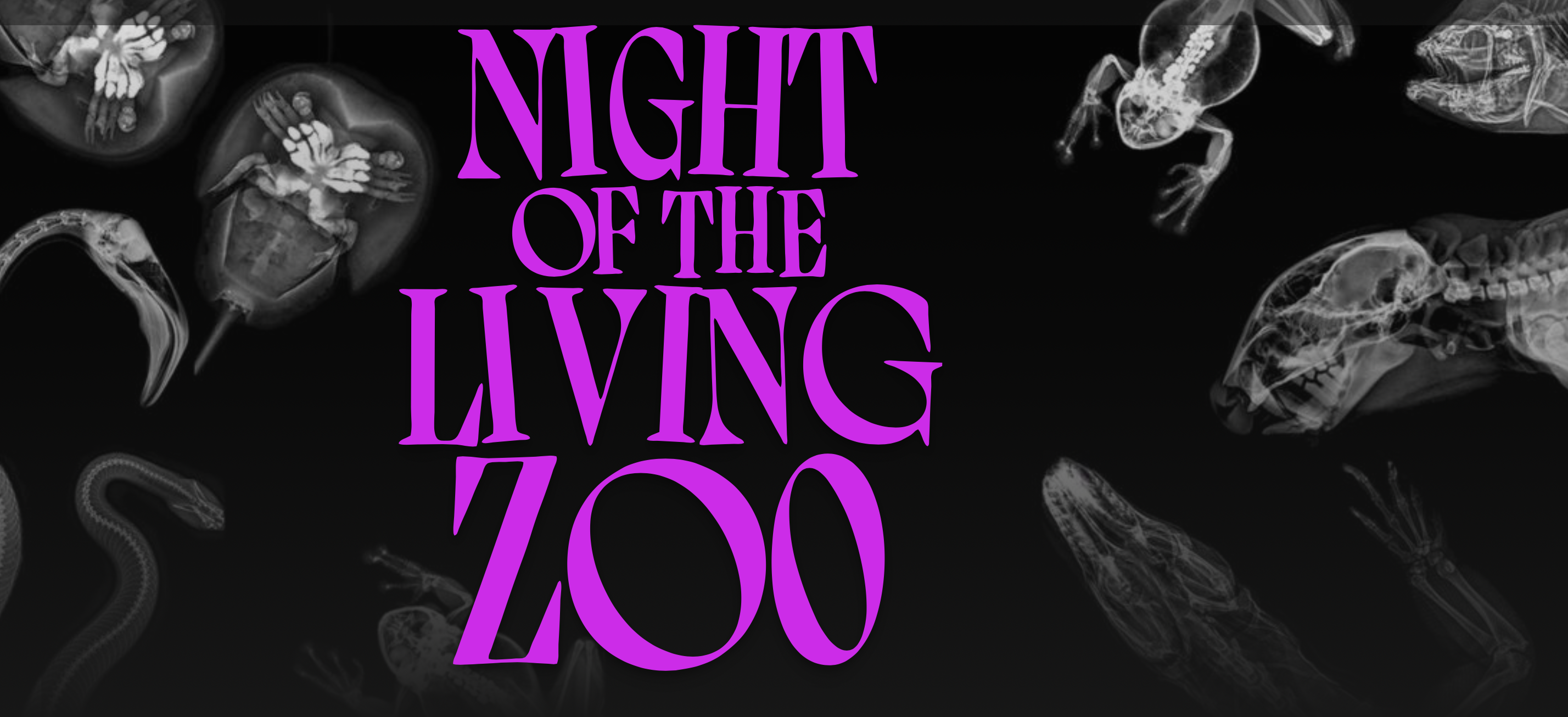 Night of the Living Zoo at the Smithsonian’s National Zoo