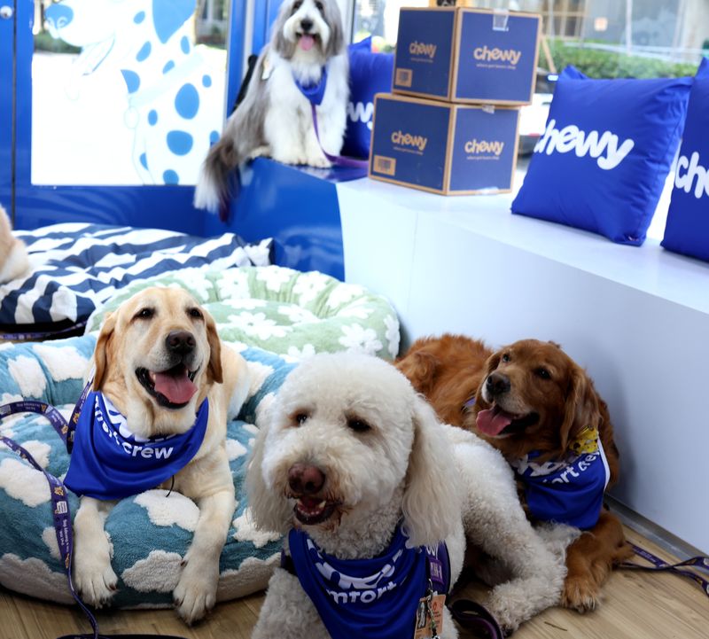 Comfort dogs at a Miami World Cup fan pop-up.