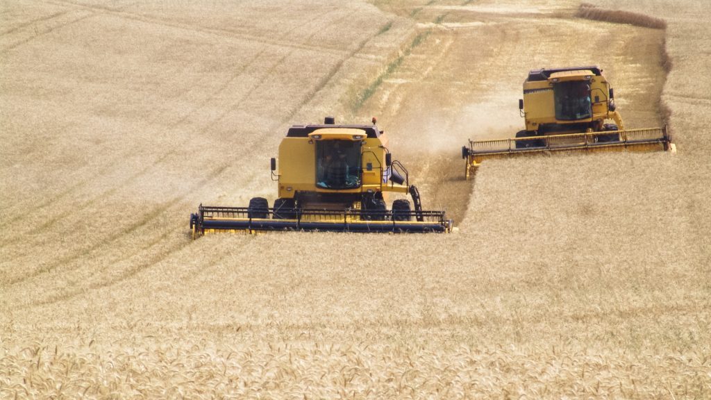 🌾 Brazilian wheat booms