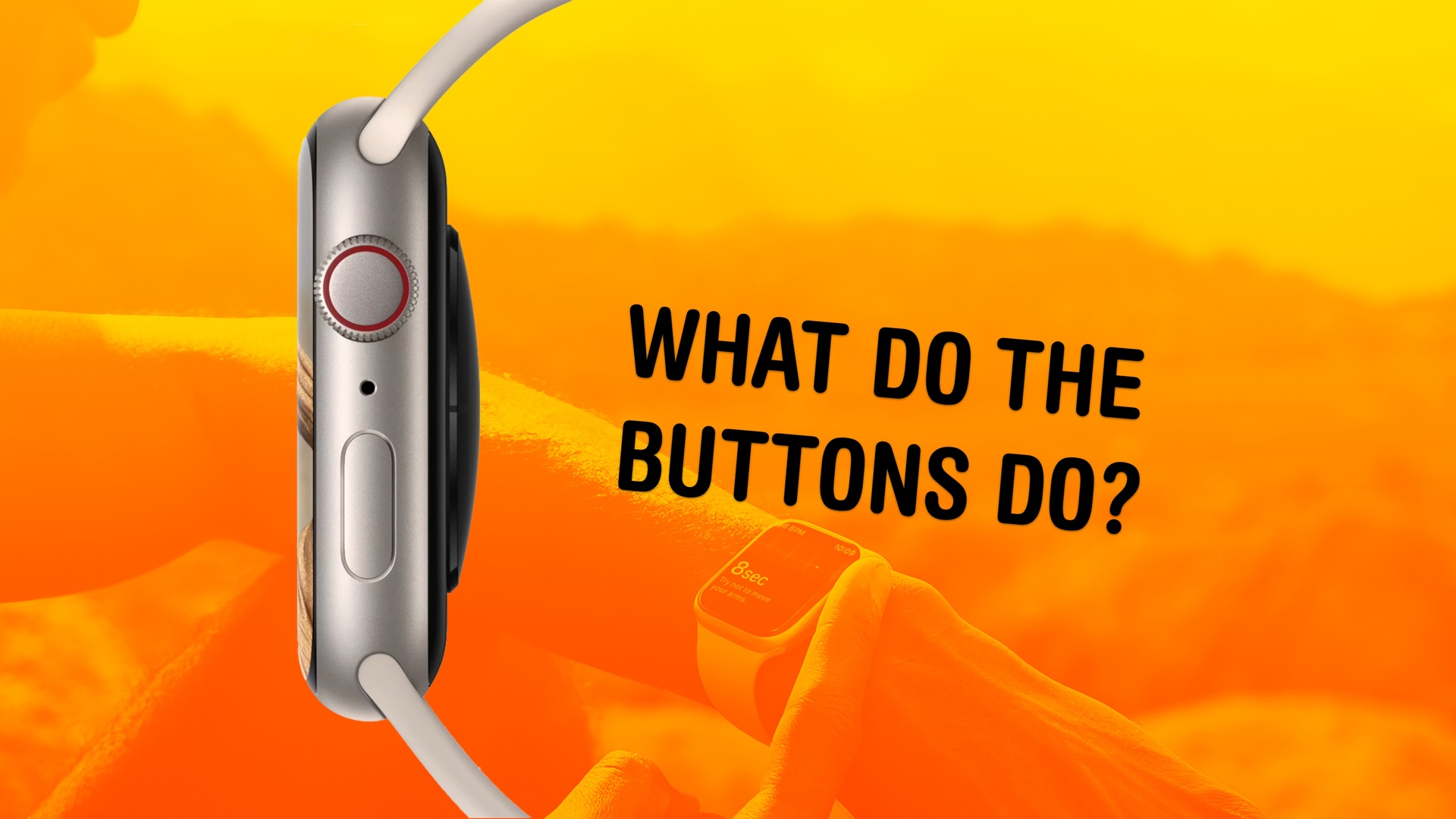 What does it do again?