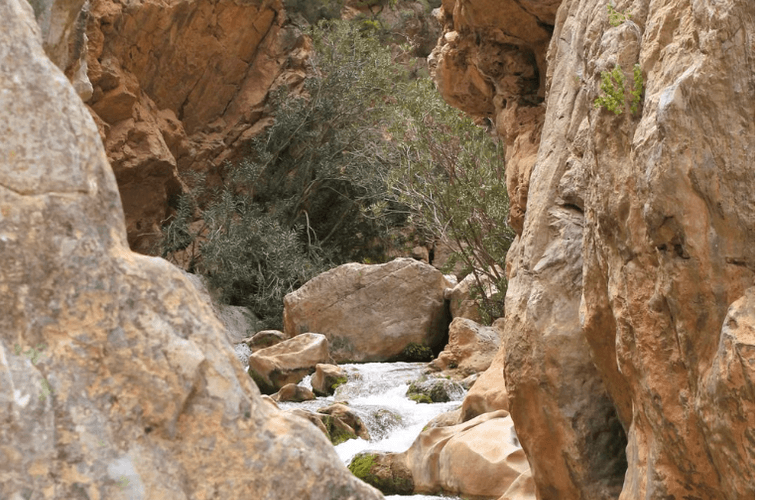 Los Penasquitos Canyon waterfall trail