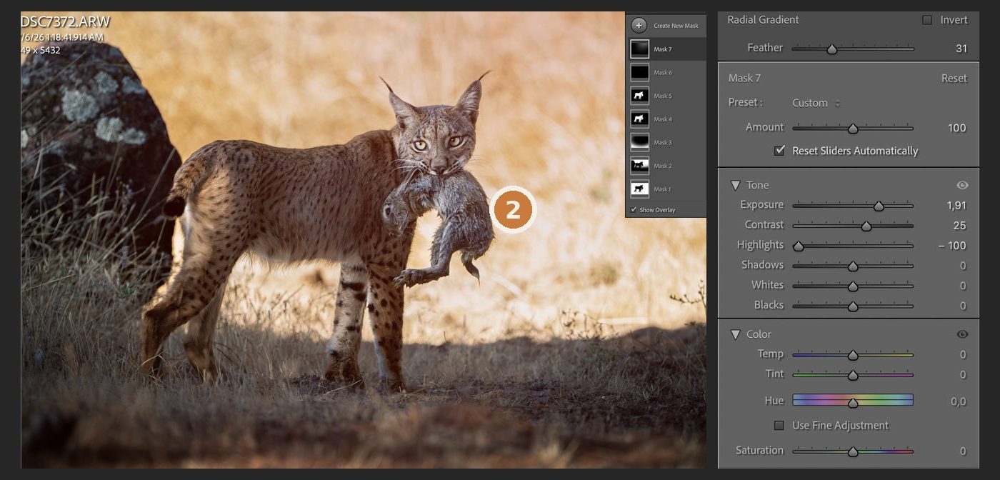 Lightroom with the large soft radial gradient and its slider values