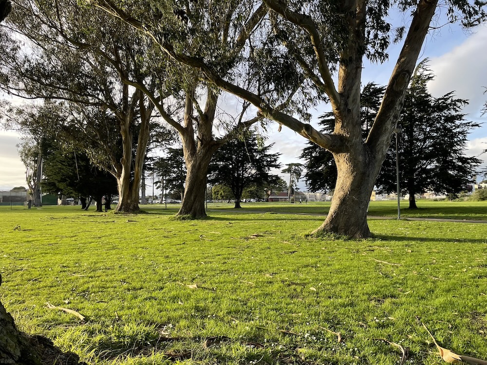 Who Owns San Francisco's Parks? The Fight for Crocker Amazon Park