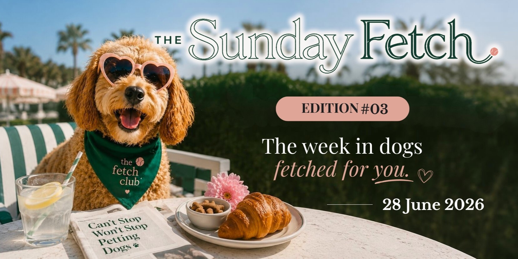 A cheerful dog wearing heart-shaped sunglasses at a sunny outdoor café for The Sunday Fetch