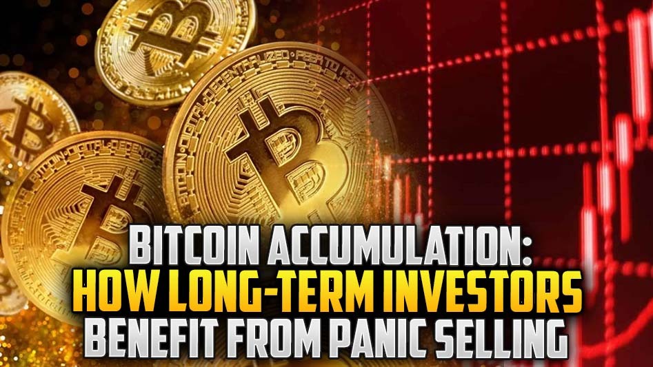 Bitcoin Accumulation: How Long-Term Investors Benefit from Panic Selling