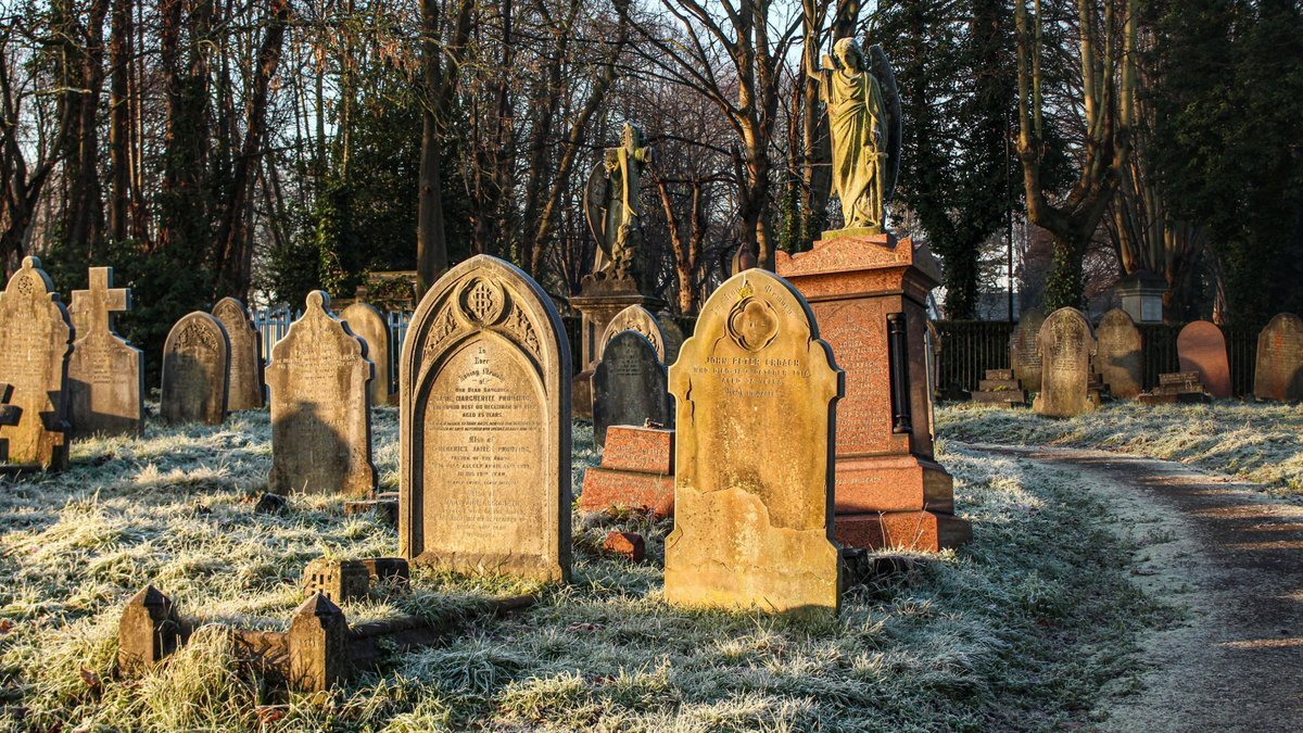 Old gravestones and an angel statue in a frosty, sunlit cemetery