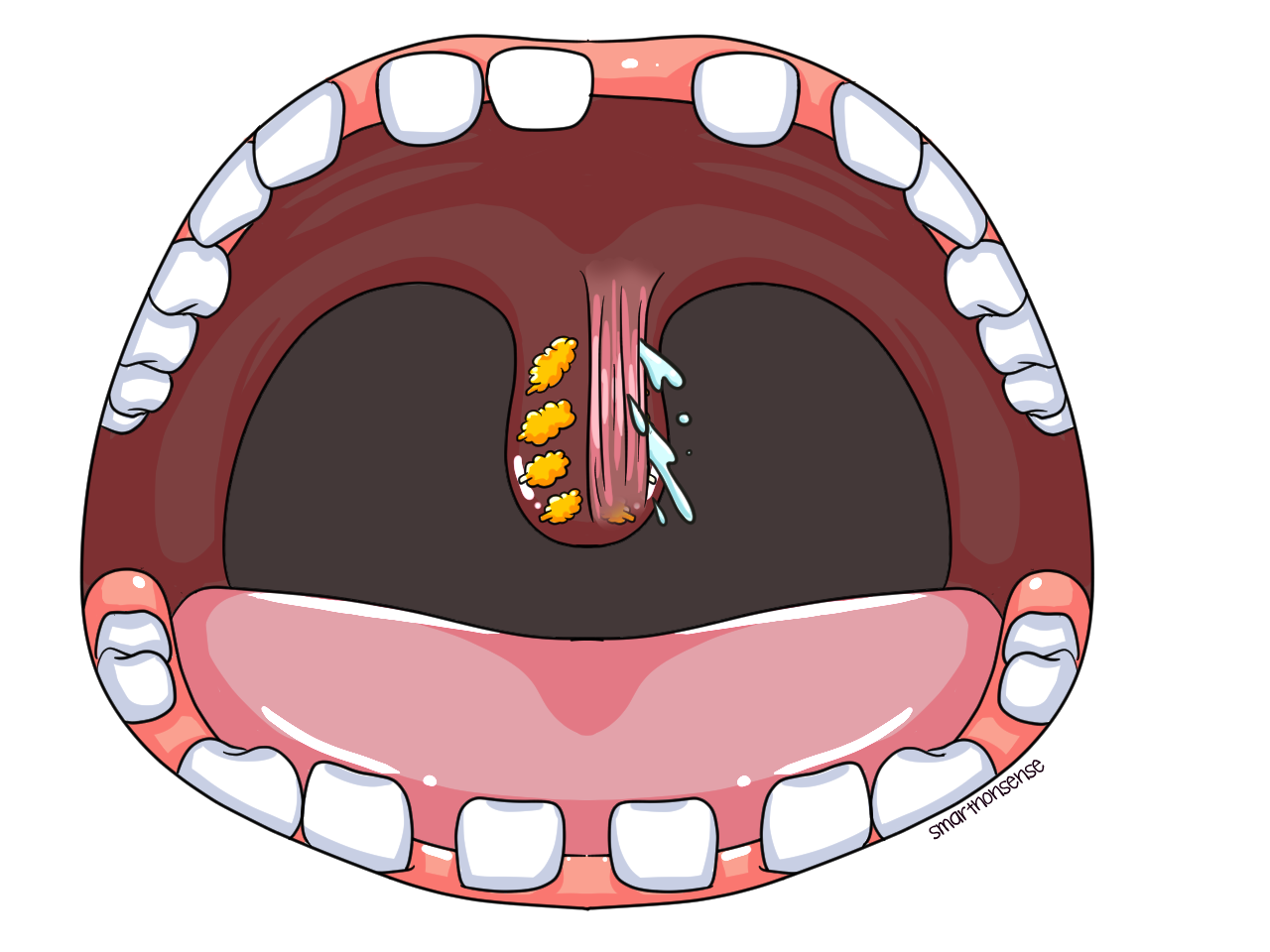 What Does Your Uvula Actually Do? 🫦