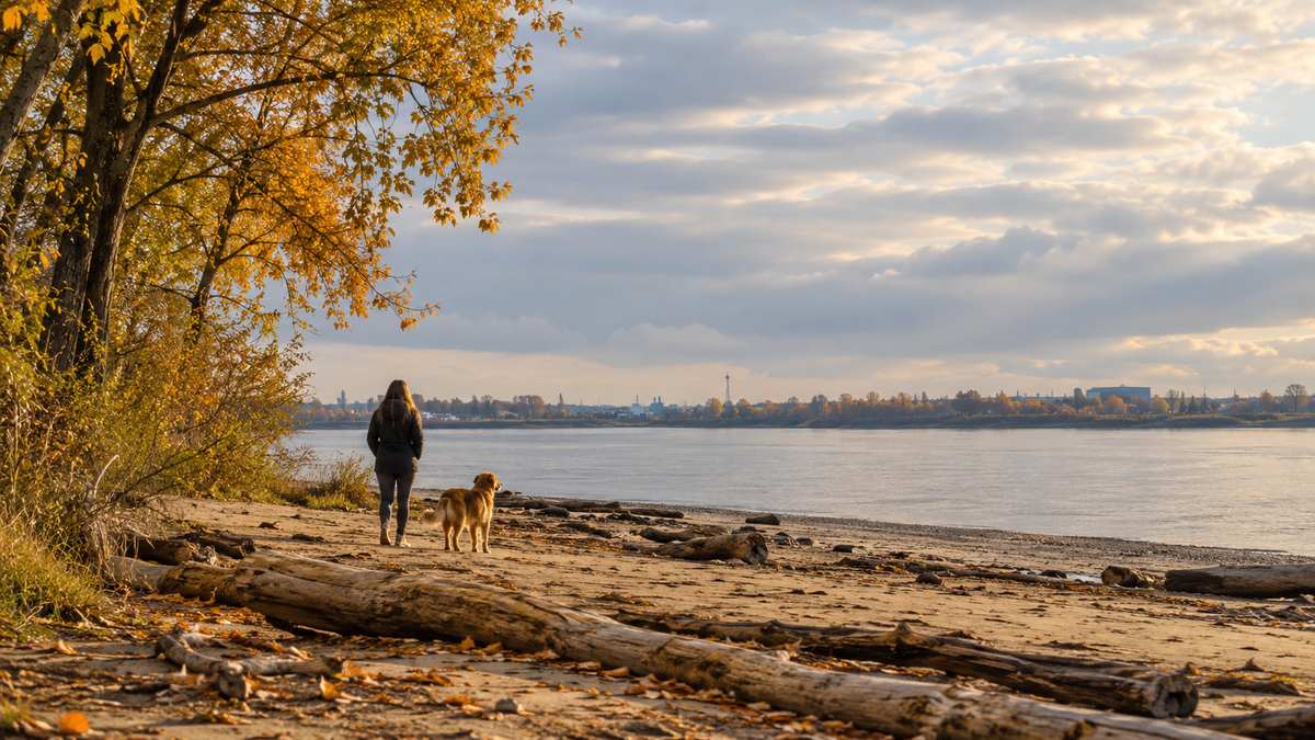 McDonald Beach Park
