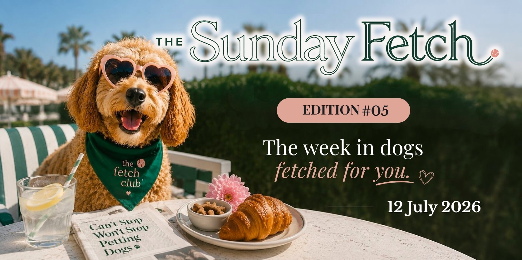 A cheerful dog wearing heart-shaped sunglasses at a sunny outdoor café for The Sunday Fetch