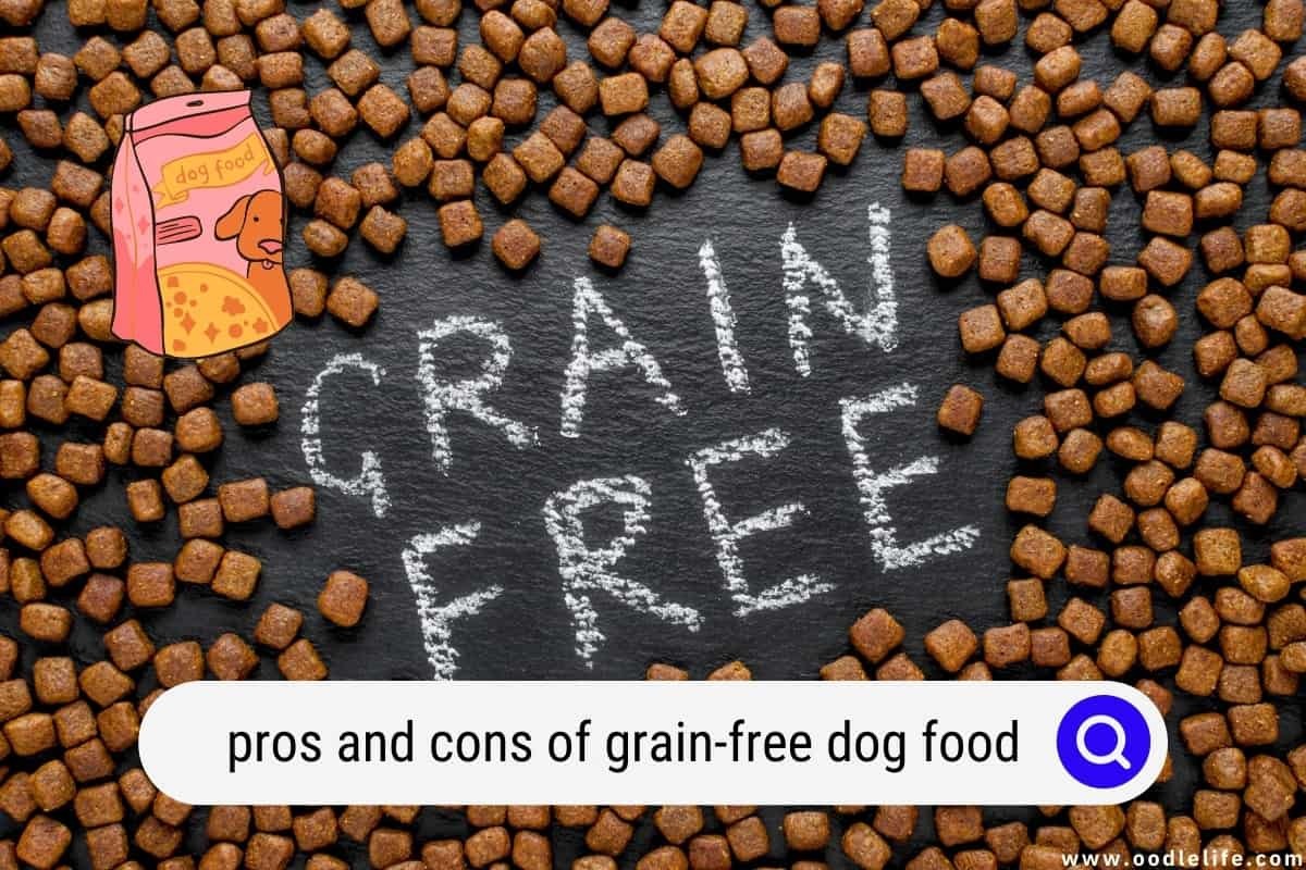Pros and Cons of Grain Free Dog Food (2024) - Managing Grain-Free Dog Food Side Effects