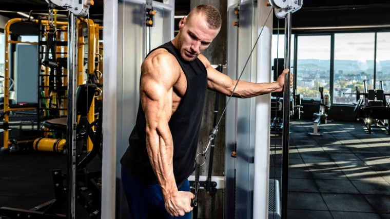 💪 3 Powerful Chest & Triceps Workouts 