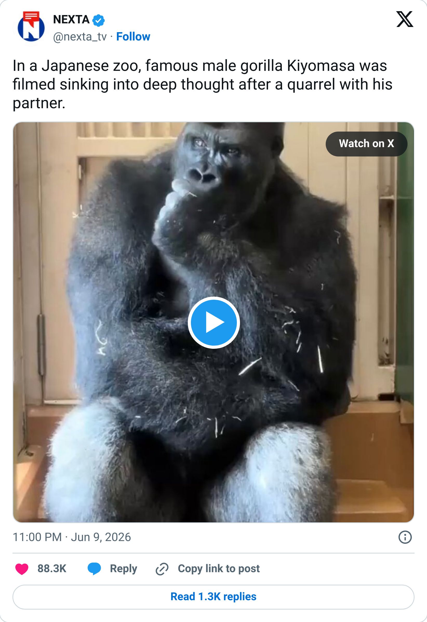 Tweet screenshot
