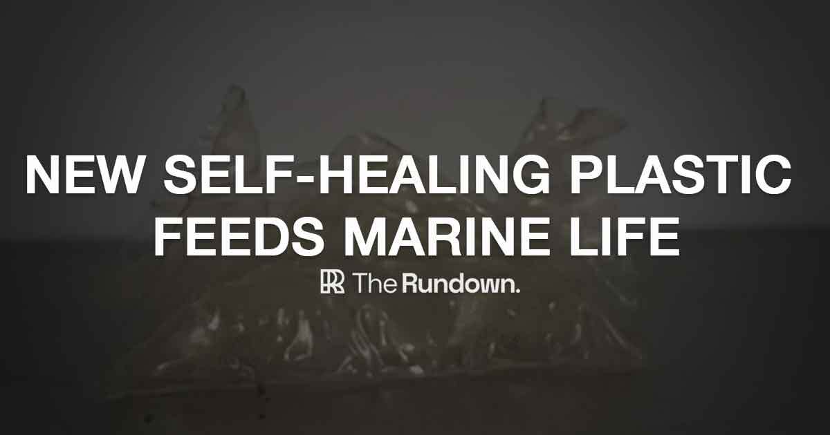 ⚡️ New self-healing plastic tech