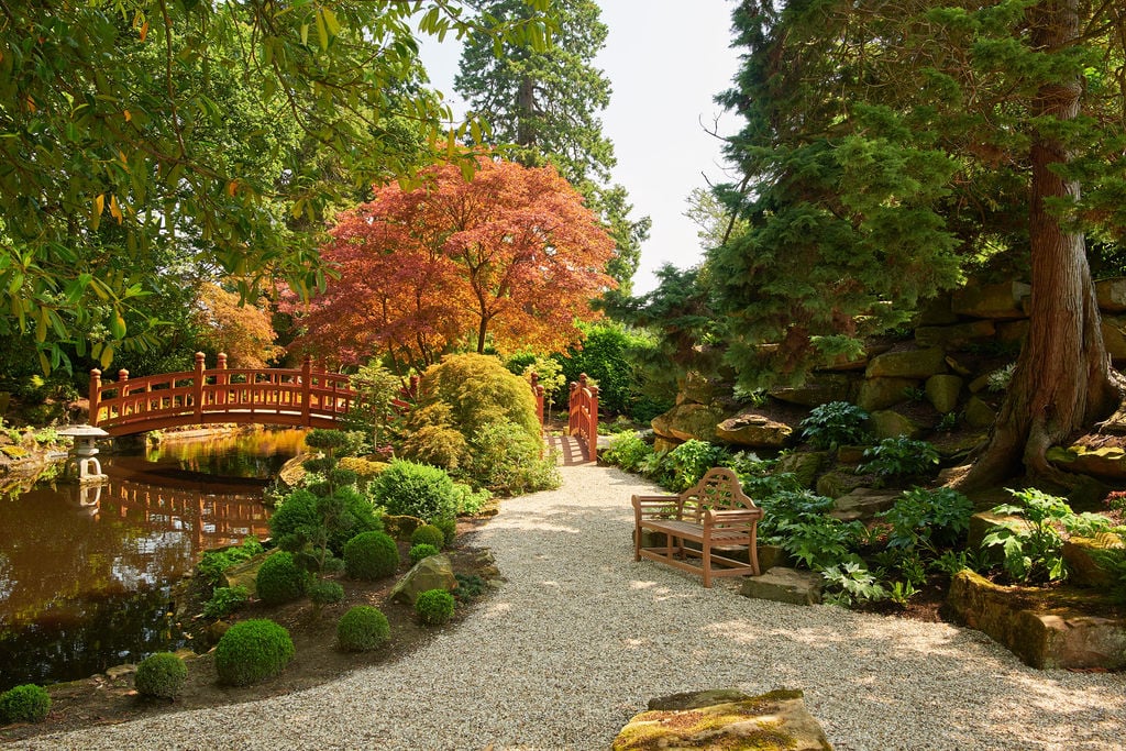 Landscaped garden path and pond at Grantley Hall