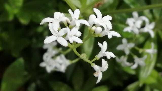 Greetings and welcome back.