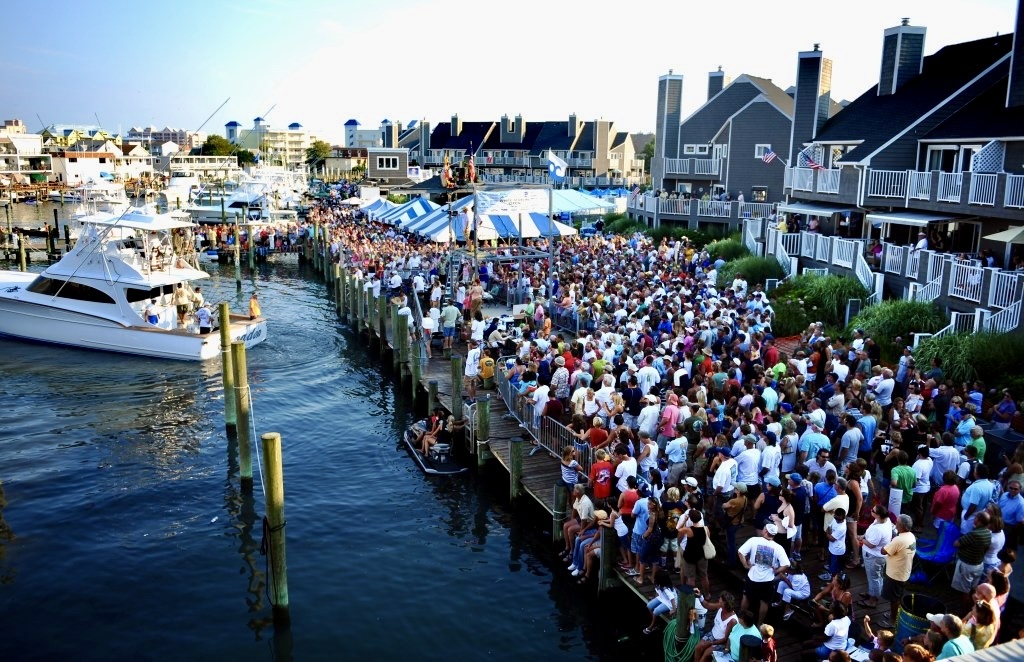 Things To Do in Ocean City, MD | August 2 - August 8, 2026                    