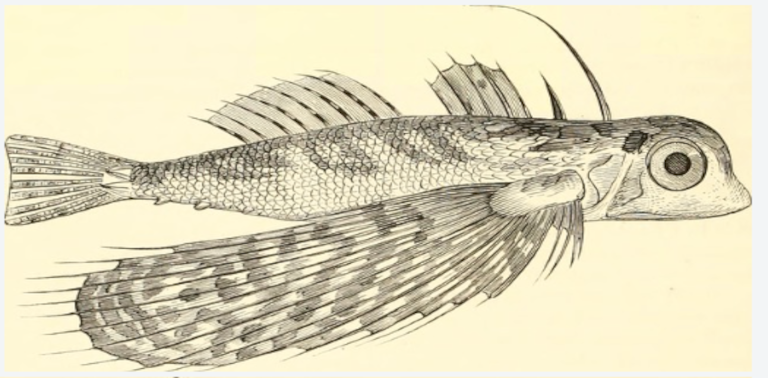 Pip Rippon's Curated Guide - Chapter six, part 1