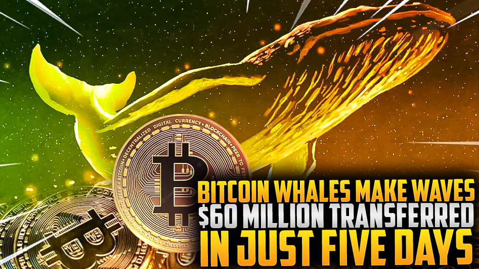 Bitcoin Whales Make Waves: $60 Million Transferred in Just Five Days