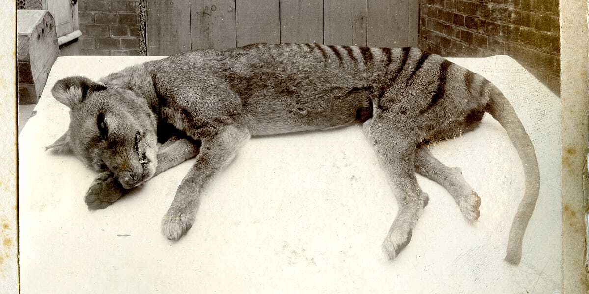 3a5b76b4-87c0-48b2-b47e-