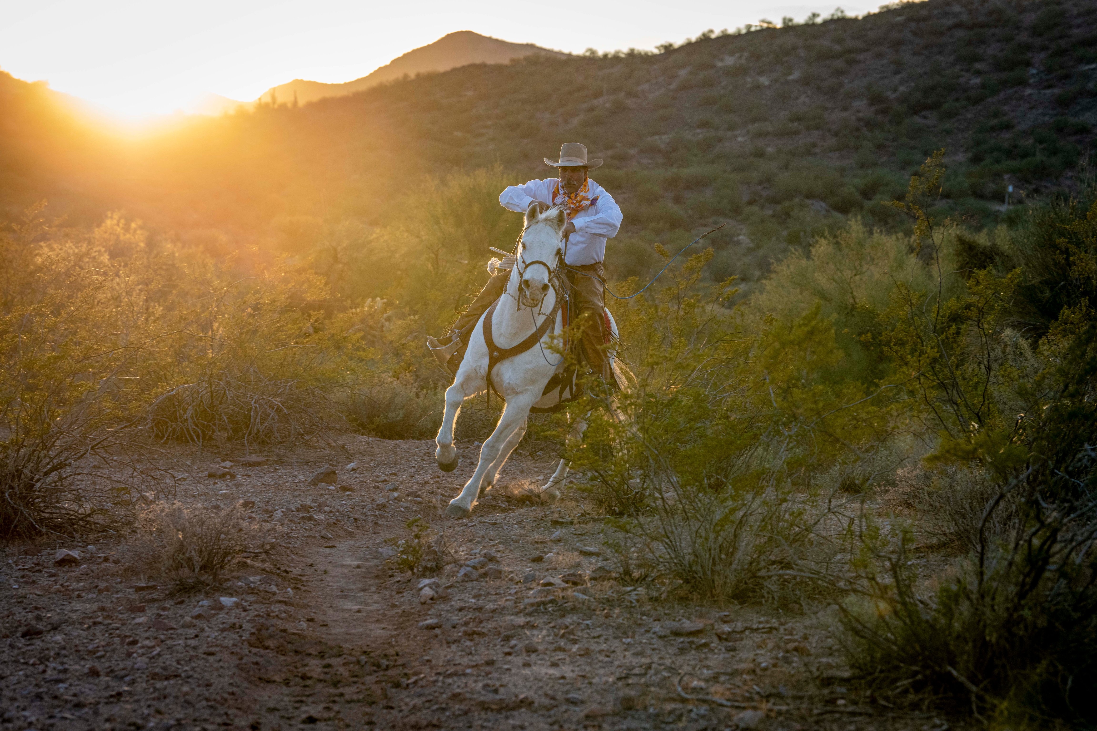 Horse and rider on a sunlit desert trail at Rancho de los Caballeros
