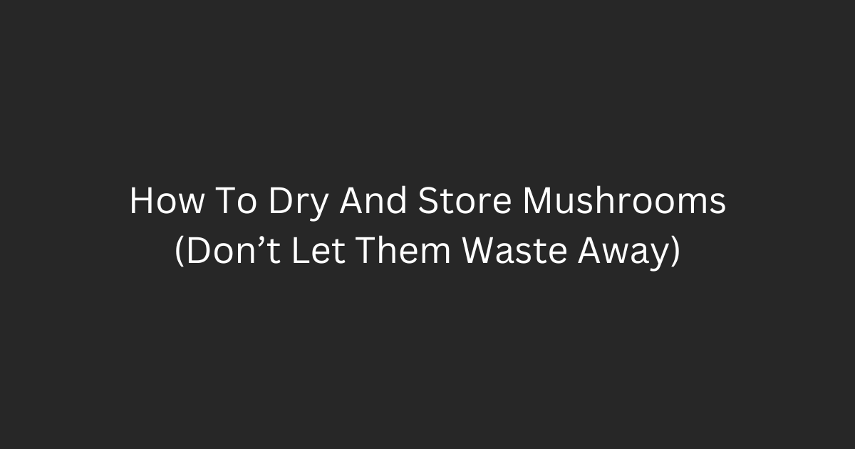 How To Dry And Store Mushrooms (Don't Let Them Waste Away)