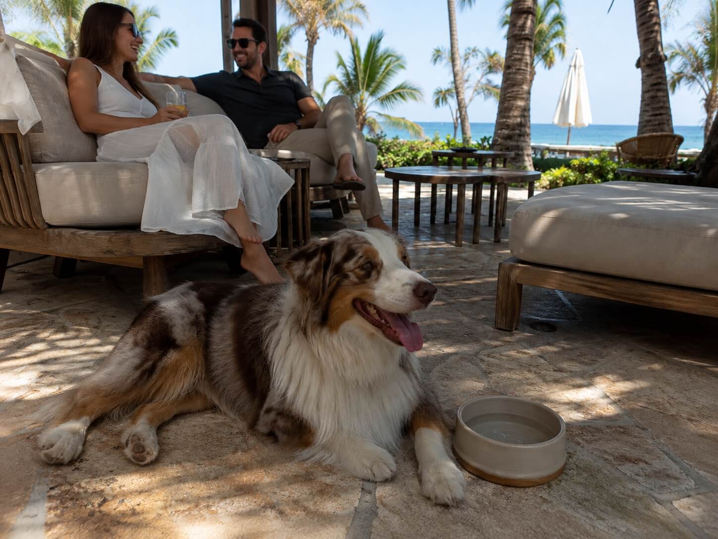 A relaxed dog lying in a chic coastal rental while its owners sit nearby talking