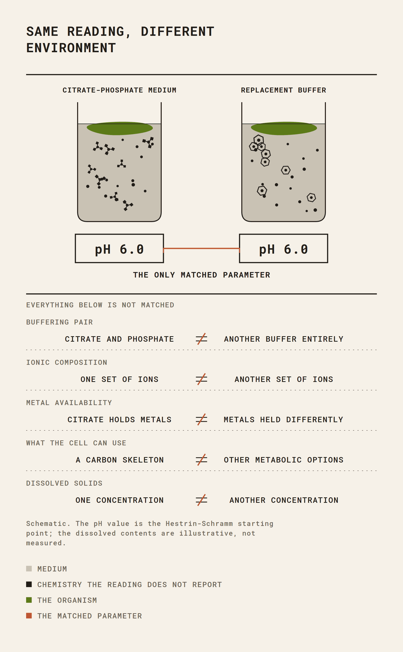 Two media at the same measured pH shown side by side, with the dissolved species, ions and available metals differing between them.
