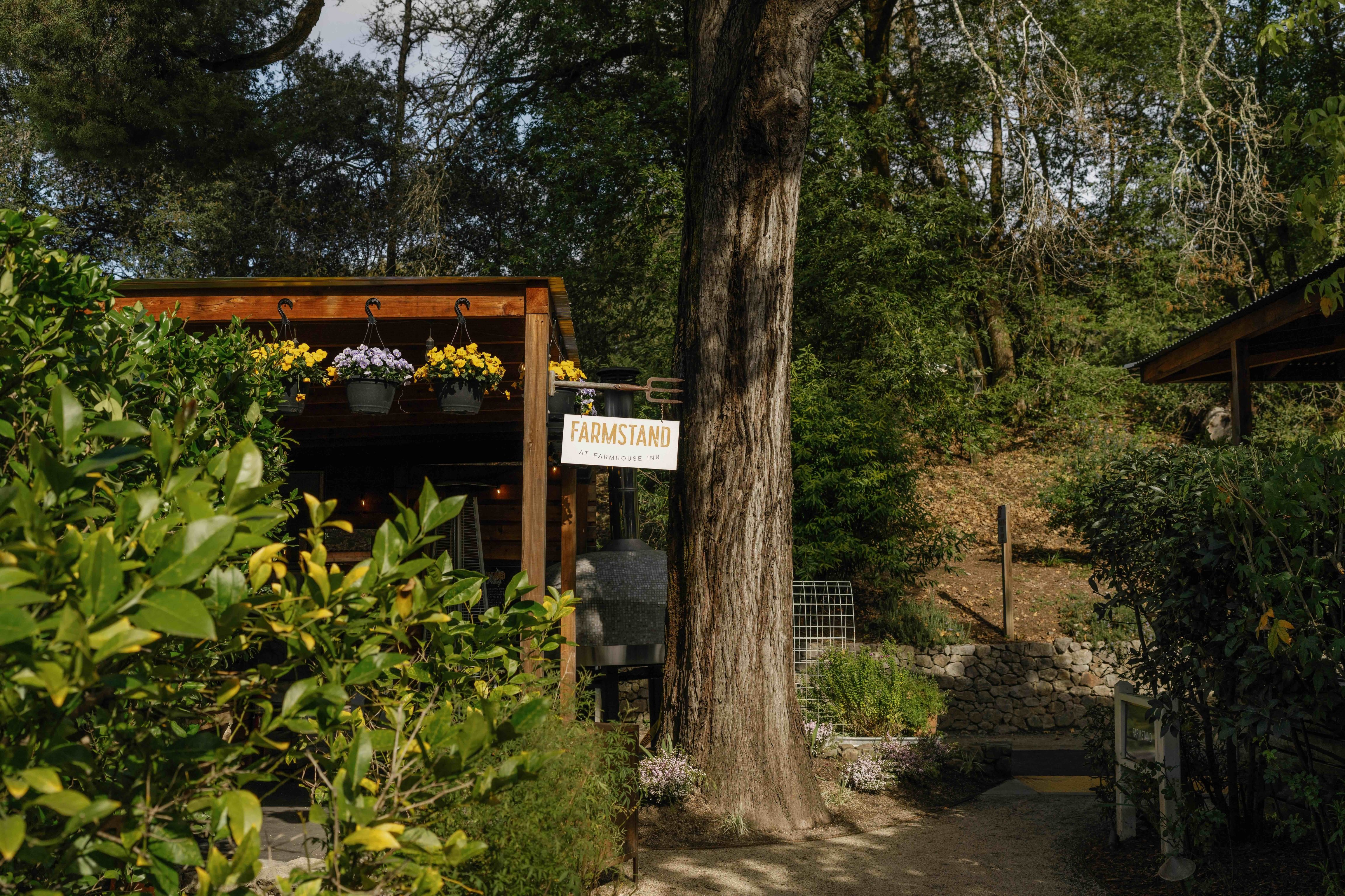 Garden pathway among redwoods at Farmhouse Inn