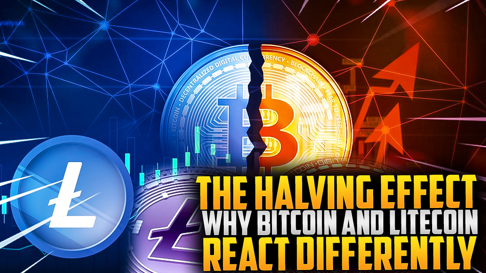 ⚡️Bitcoin vs. Litecoin: Understanding the Halving Effect