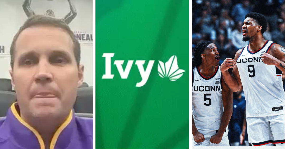 Ivy insights