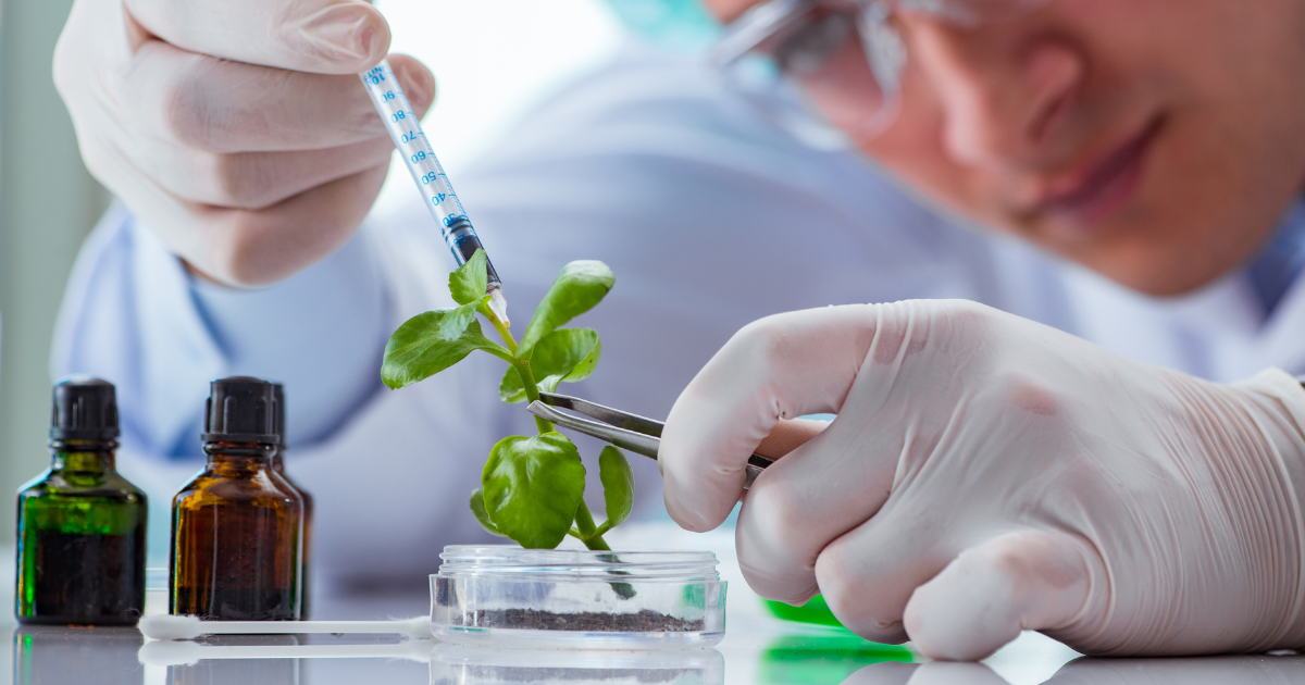 How To Invest In Biotechnology During The Biotech Boom