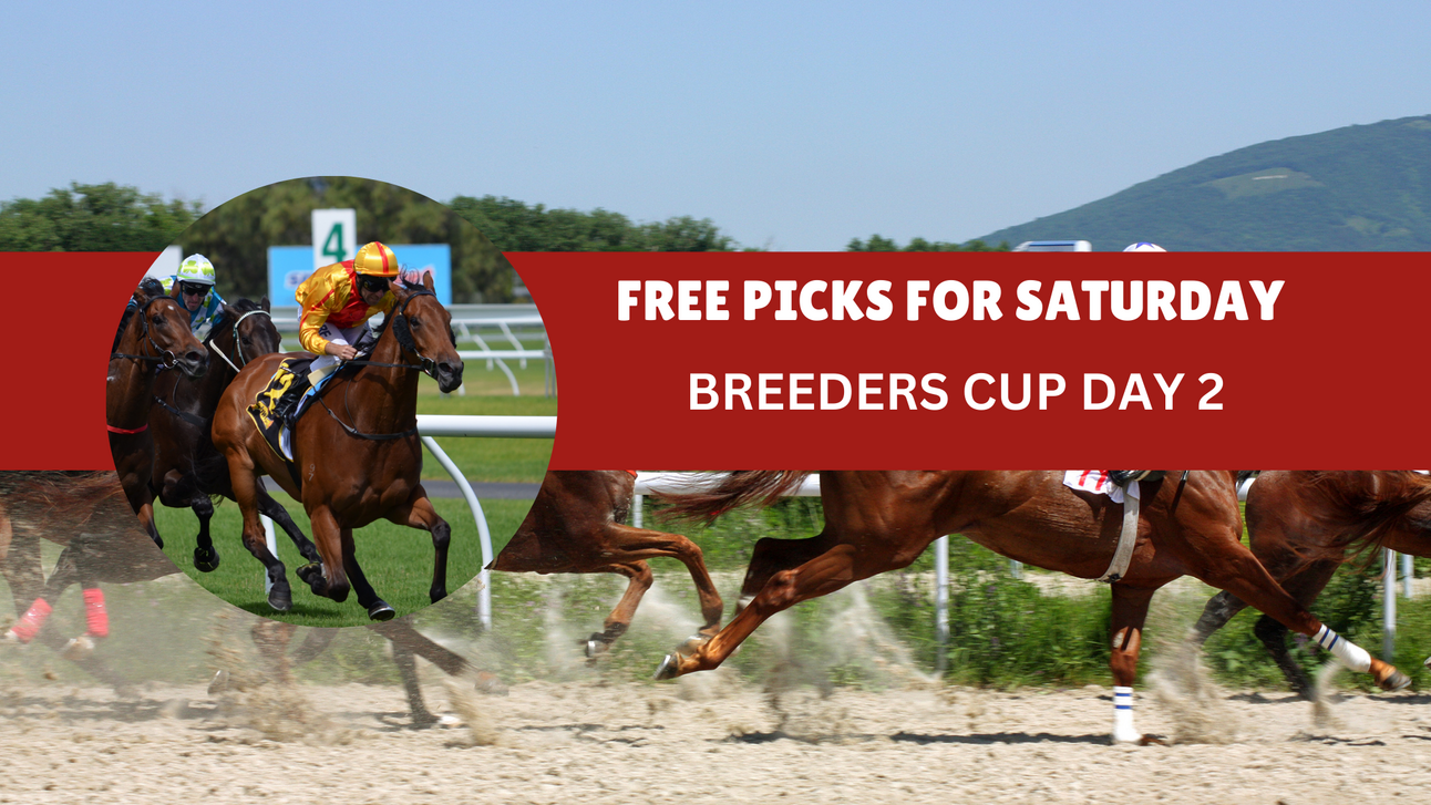 Free Breeders Cup and Churchill Downs Picks for Saturday 11 2 Free Breeders Cup and Churchill Downs Picks for Saturday 11 2