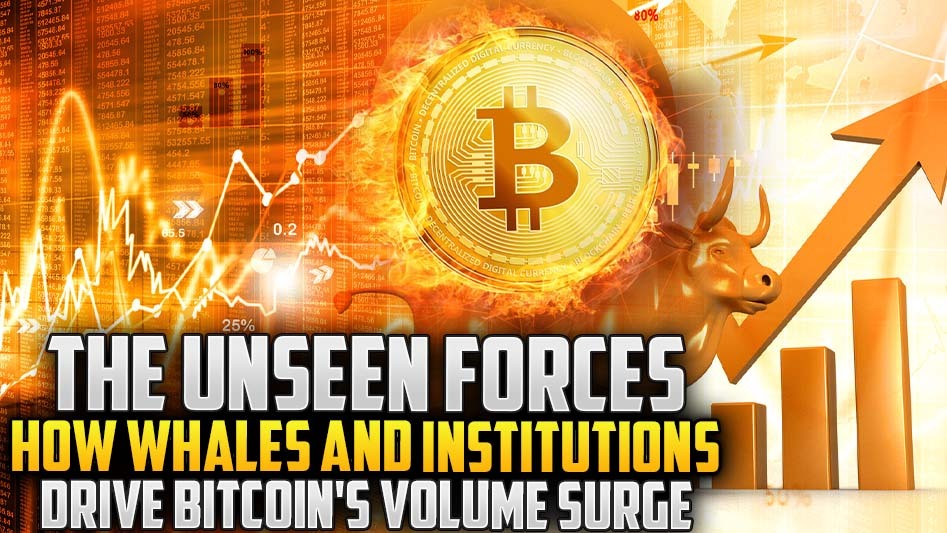 The Unseen Forces: How Whales and Institutions Drive Bitcoin's Volume Surge