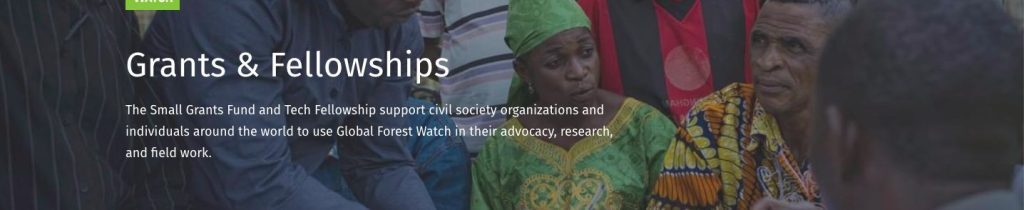 The Global Forest Watch Small Grants Fund 2024 (GRANT $10,000-$40,000 USD)